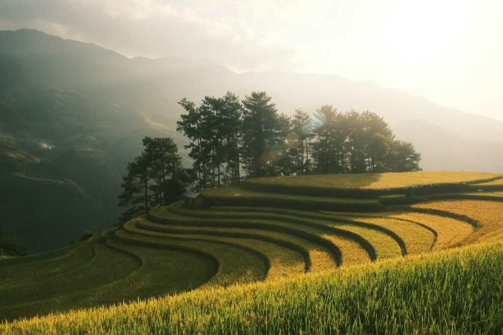 Đất cha mẹ chia miệng, sổ đứng tên một người: có còn chia được?